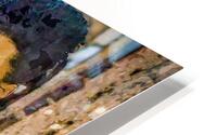 Fringed HD Metal print