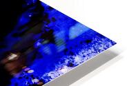 Enigmatic HD Metal print