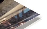 Mystique HD Metal print