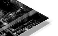 Shadowplay   HD Metal print