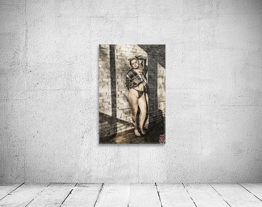 Brick Canvas Wall Preview