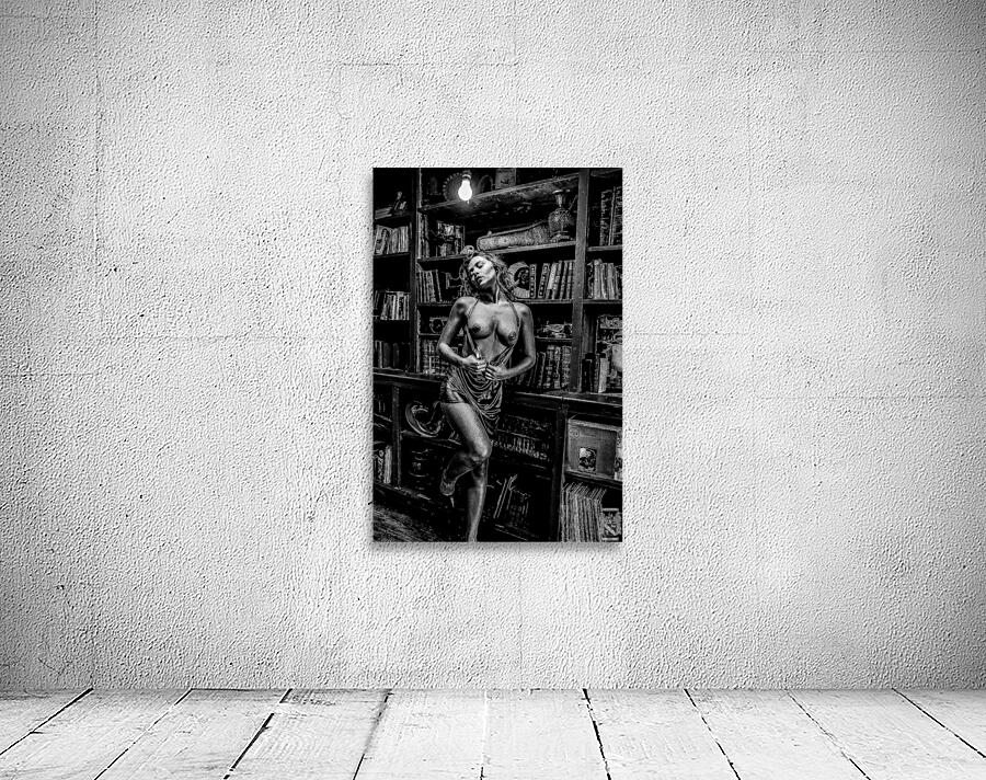 Shadowplay   Wall Preview