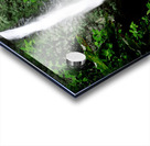 Jungle Waterfall Acrylic print