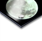Full Moon Acrylic print