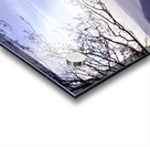 Framed Vista Acrylic print