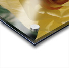Texas Rose Acrylic print