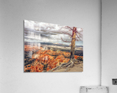 Bryce Canyon Acrylic Print