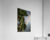 Tropical Rainbow Acrylic Print