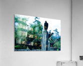 Grave Vultures Acrylic Print