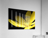 Biting Flower Acrylic Print
