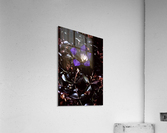 Nebulous Flower Acrylic Print