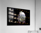 Forest Cave Acrylic Print