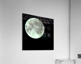 Full Moon Acrylic Print