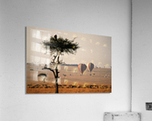 Savanna Balloon Acrylic Print