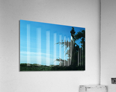 Cape Hatteras Lighthouse Acrylic Print