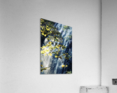 Cascade Under Forest Light Acrylic Print