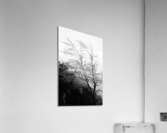 Glass Tree Acrylic Print