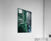 Soft Green Scales Acrylic Print