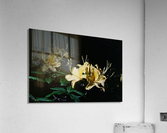 Yellow Azalea Acrylic Print