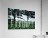 Between Two Fronds Acrylic Print