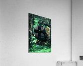 Forest Bision Acrylic Print
