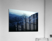 Powder Blue Acrylic Print
