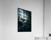 Secluded Path Acrylic Print