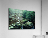 Serene Stream Acrylic Print