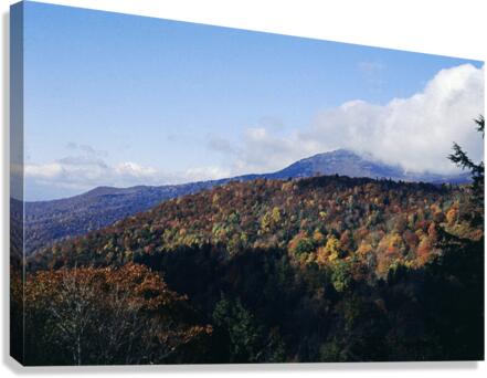 Autumn s Canvas Canvas Print