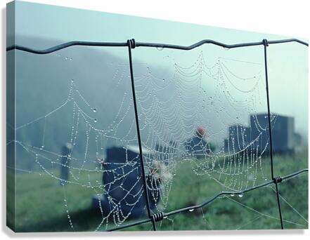 Spider Pearls Canvas Print