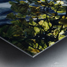 Cascade Under Forest Light Metal print