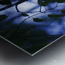 Crouching Opossum Metal print