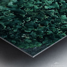 Soft Green Scales Metal print
