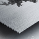 Frozen Fir Metal print