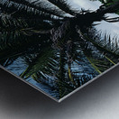 Between Two Fronds Metal print