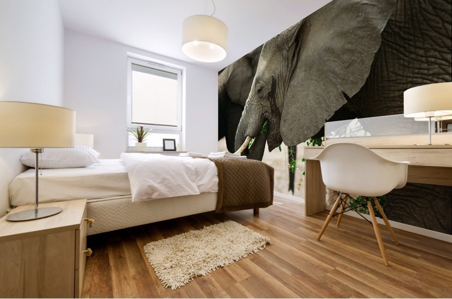 Elephant Grazing Mural print