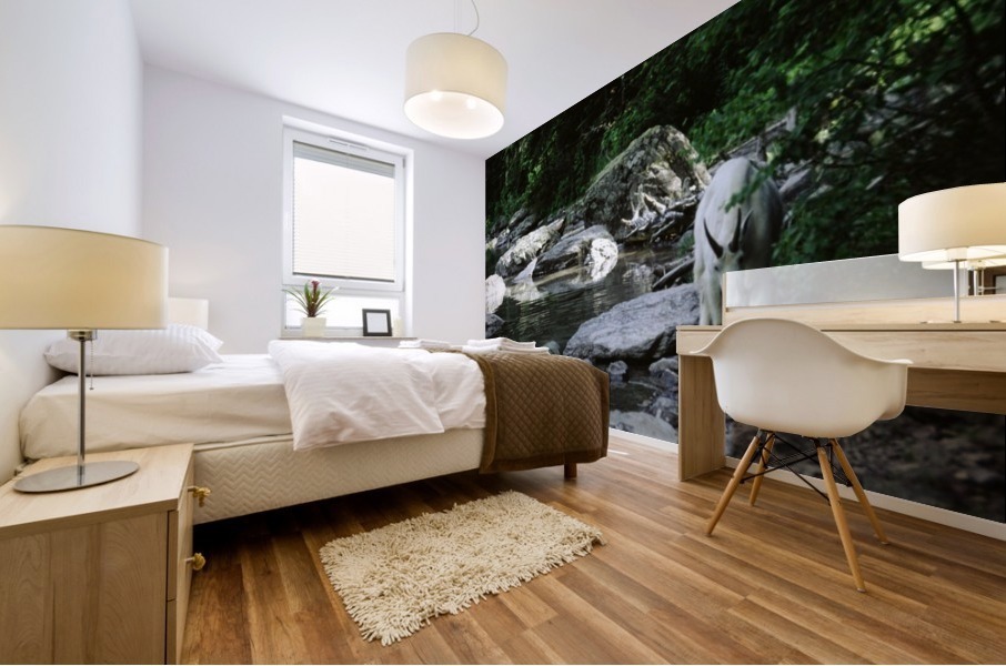 Mountain Goat Mural print