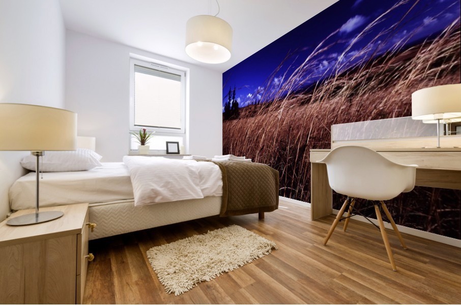 Western Sky Mural print
