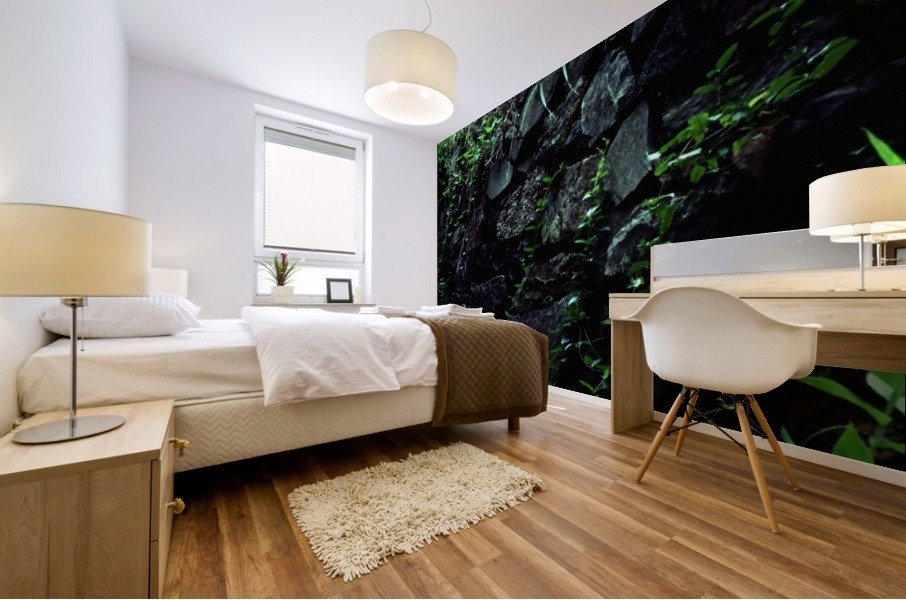 Stone Wall Mural print