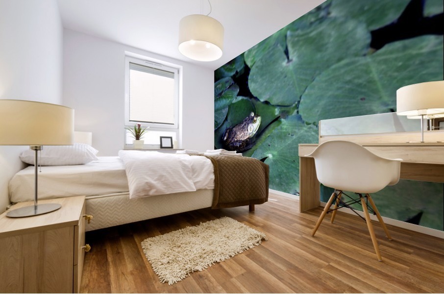 Frog on Lilies Mural print