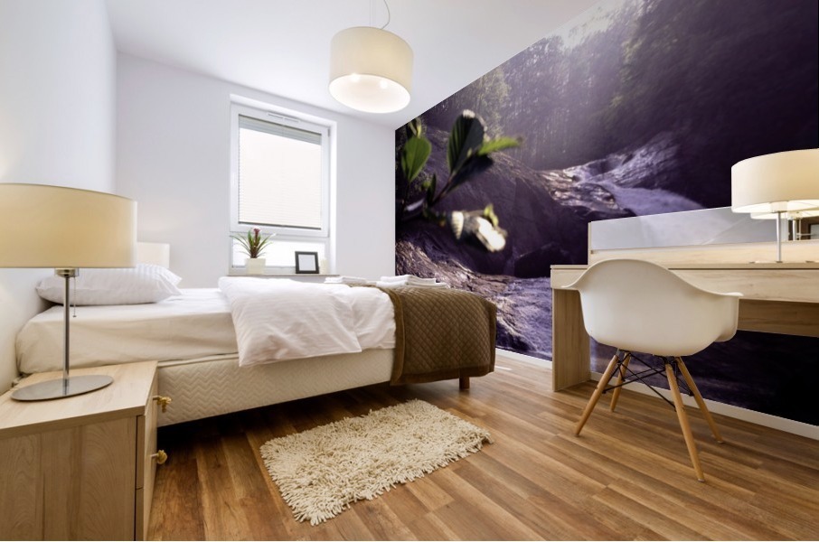 Double Falls Mural print