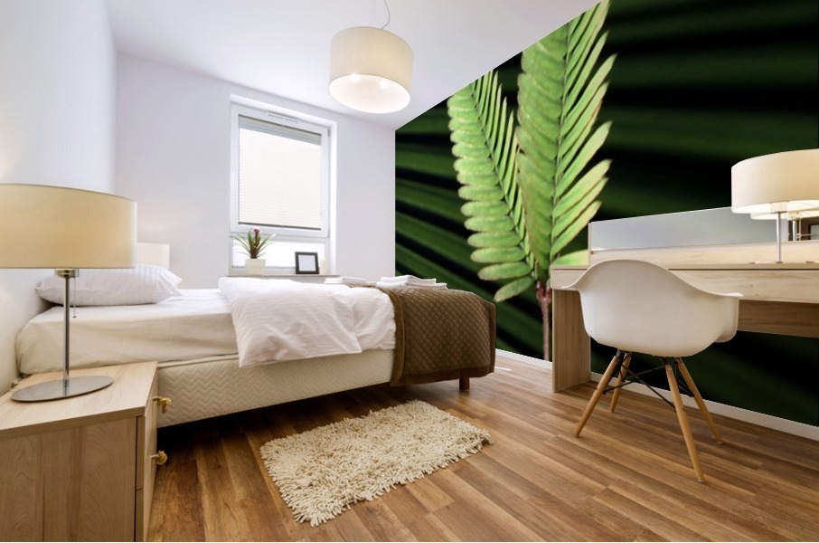 Feathered Fans Mural print