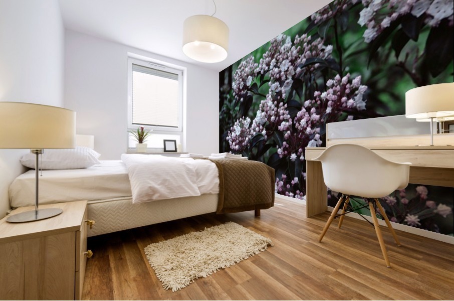 Mountain Laurel Mural print