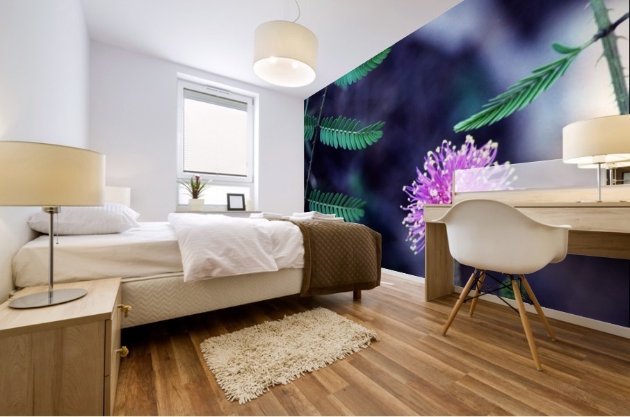 Explosive Mimosa Mural print