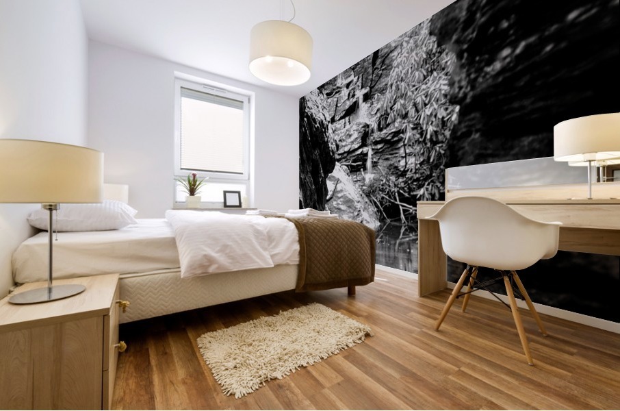 Broken Spring Mural print