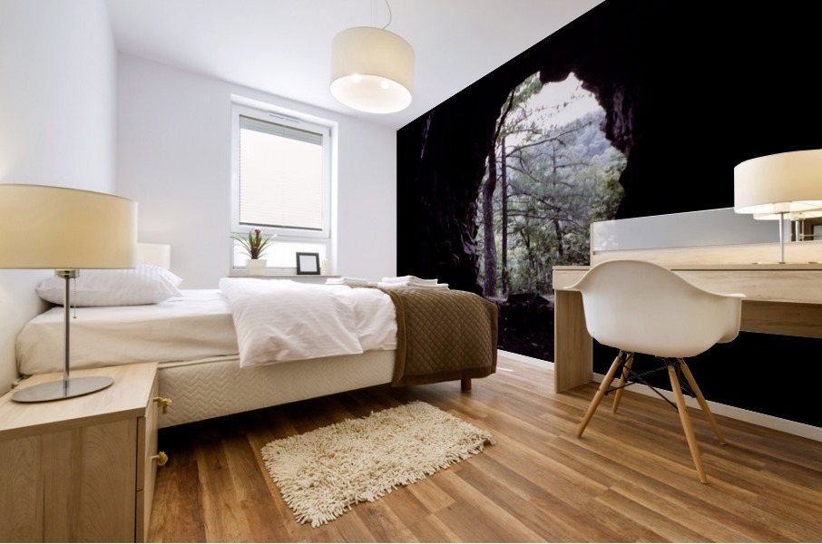 Forest Cave Mural print