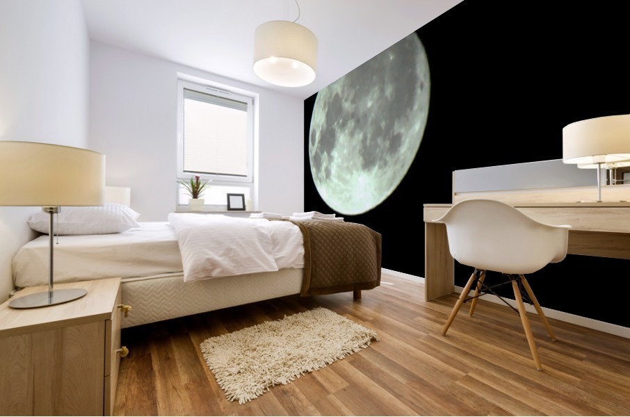 Full Moon Mural print