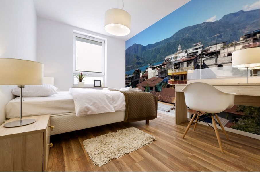 Rooftops Mural print