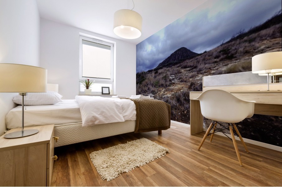 Gathering Storm Mural print