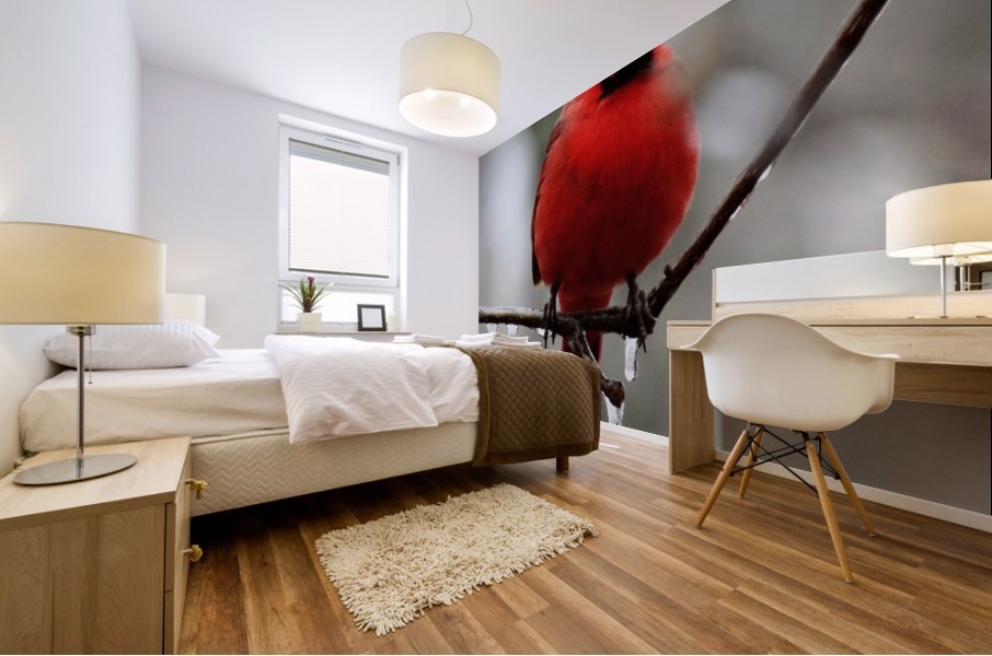 Winter Cardinal Mural print